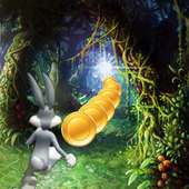 😄 Crazy bugs rabbit bunny run