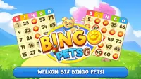 Bingo: Free the Pets Screen Shot 7