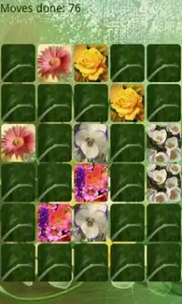 Flowers Memory HD Screen Shot 3