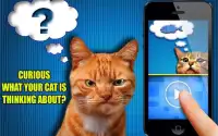 Cat translator - Mind reading Screen Shot 0