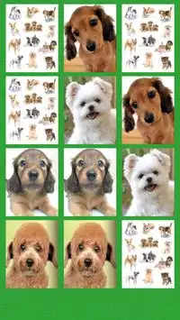 Puppy Puzzle Screen Shot 2