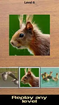 Animal jigsaw puzzles 2 (FREE) Screen Shot 3