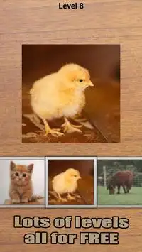 Baby animals jigsaw puzzles Screen Shot 1