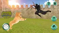 Ninja Super Samurai Assassino Incrível Lutador Screen Shot 3
