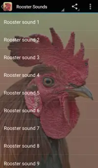 Rooster Sounds Screen Shot 0