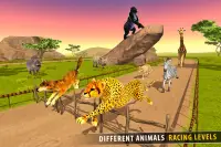 la savane des courses d'animaux 3D Screen Shot 11