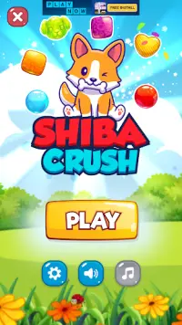 Shiba Crush Screen Shot 5