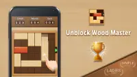 Unblock Wood Master Screen Shot 3