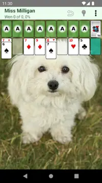 Patience Revisited Solitaire Screen Shot 2