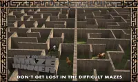 Pony Horse Maze Run Simulator Screen Shot 3