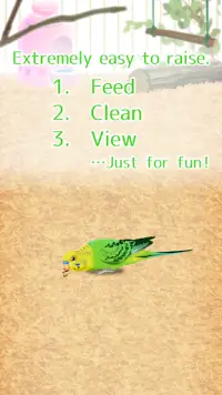 Parakeet Pet Screen Shot 1