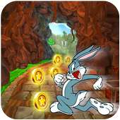🐰 Super bug bunny subway run