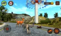 Simulateur de chien loup Screen Shot 1