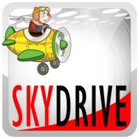 Sky Drive  Angry Cat