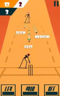विश्व क्रिकेट स्टिकमैन चैम्पियनशिप: गेंद और रन Screen Shot 2