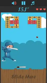 Ninja Bricks Screen Shot 3